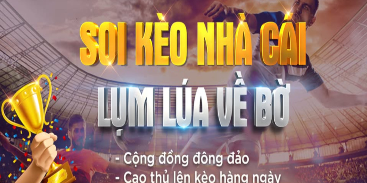 Soi Kèo Nhà Cái Cover Image