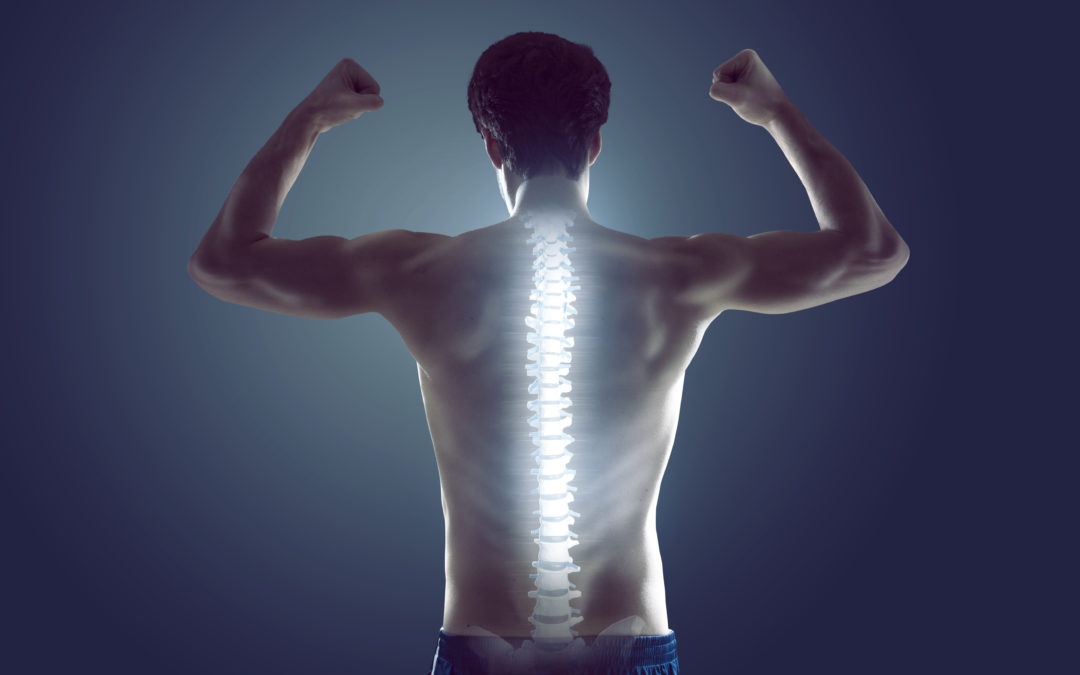 Chadstone Chiropractic Cover Image