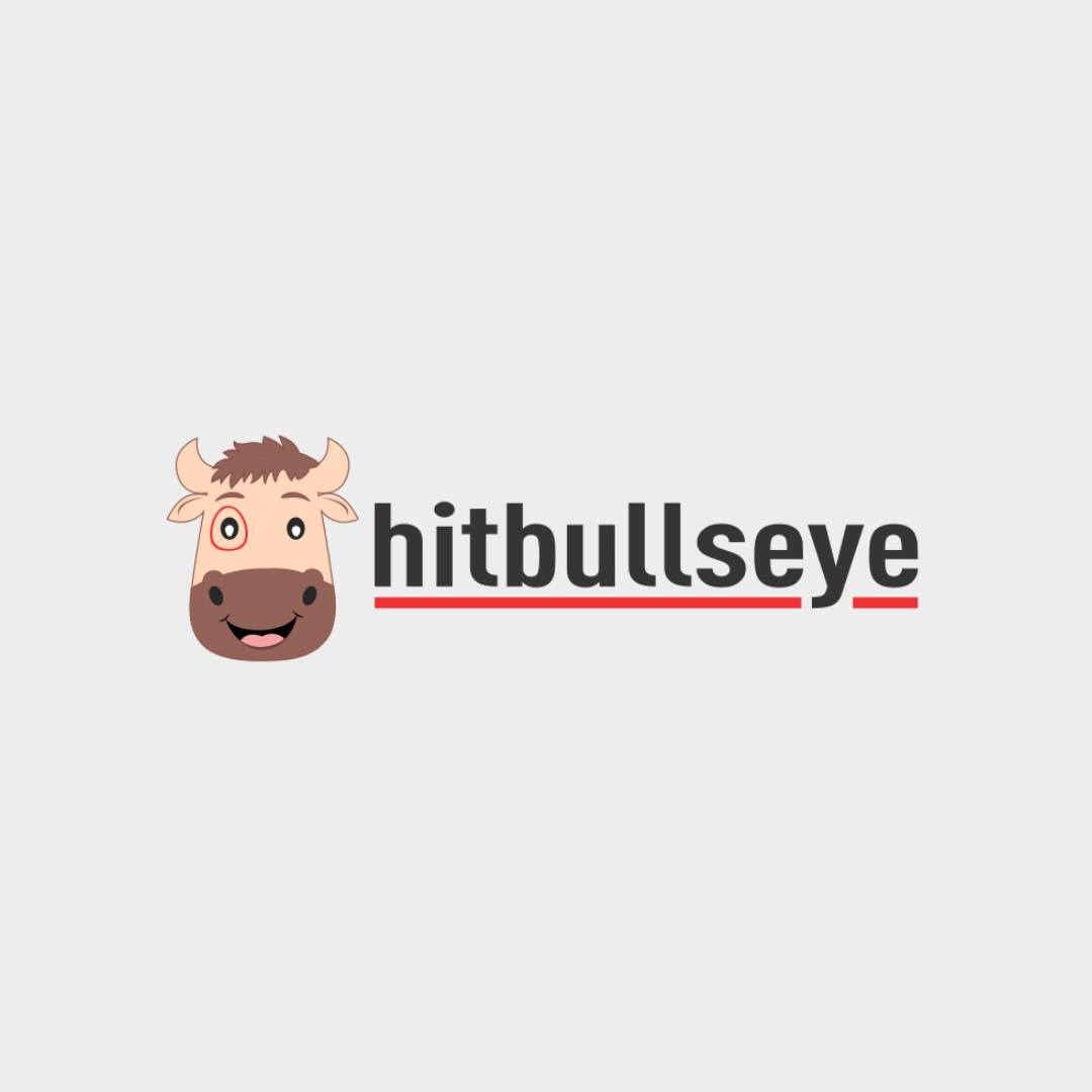 Hitbullseye Info Profile Picture