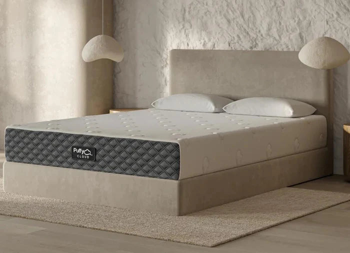 Sleep Cheap More Cover Image