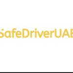 safe driver uae Profile Picture