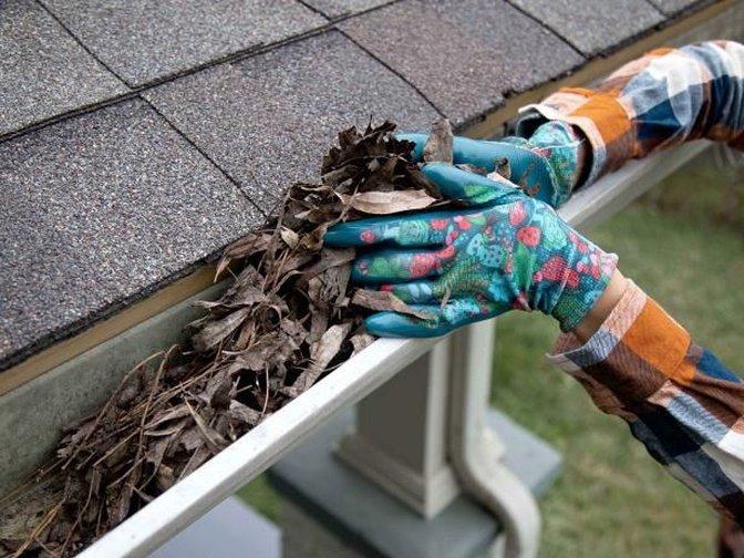 Reliable Gutter Vacuum Cleaning Services in Canberra for Safe and Efficient Maintenance | Articles | guttervaccanberra | Gan Jing World - Technology for Humanity | Video & Movie Streaming