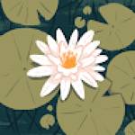 Space Waves Profile Picture