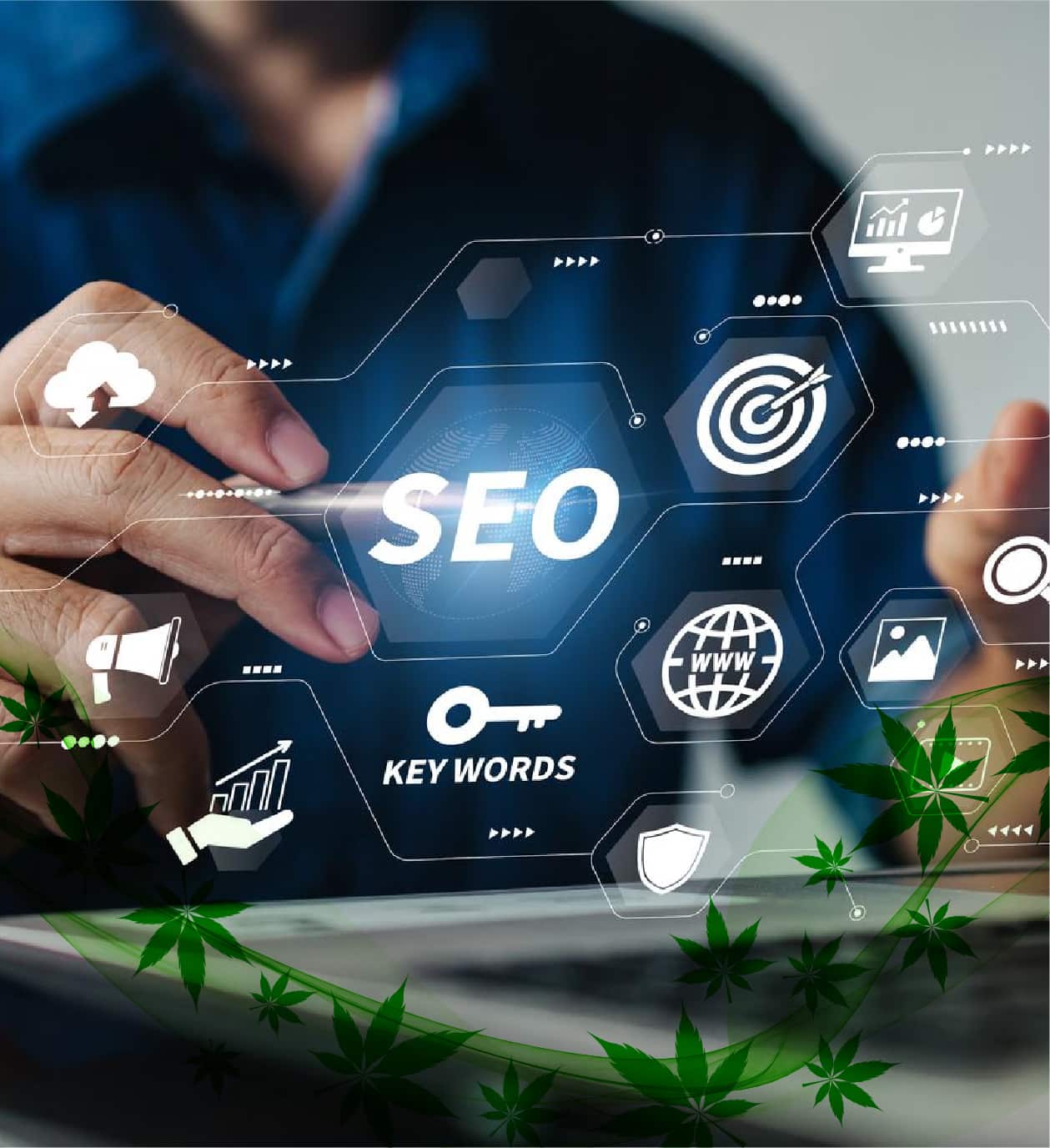 Cannabis SEO Agency for Regulated Cannabis Companies