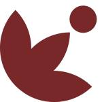 theIndi global profile picture